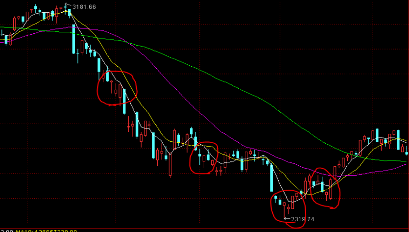 致梅州市民防汛防台风的一封信!请查收→